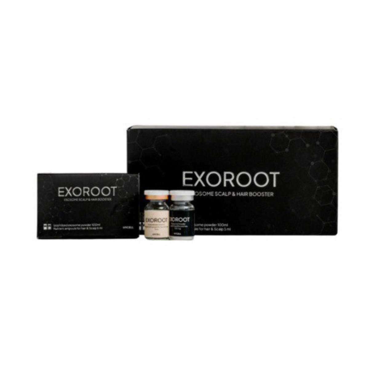 EXOROOT