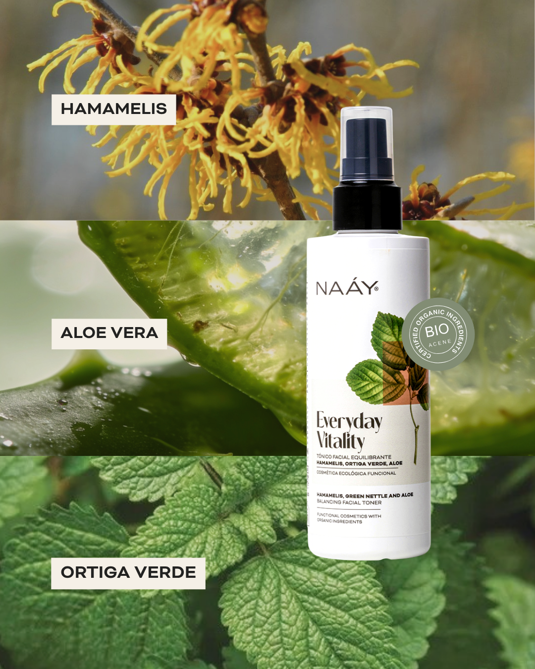 Everyday Vitality | Tónico Facial Equilibrante | Hamamelis - Pronto Vencimiento