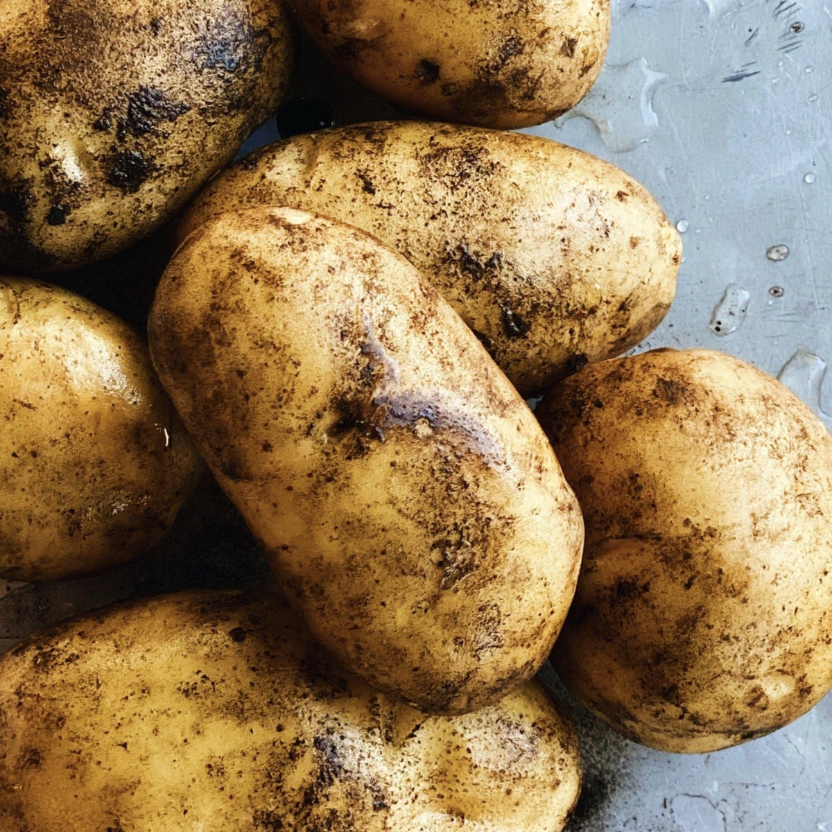 North Arm Farm German Butter Potatoes