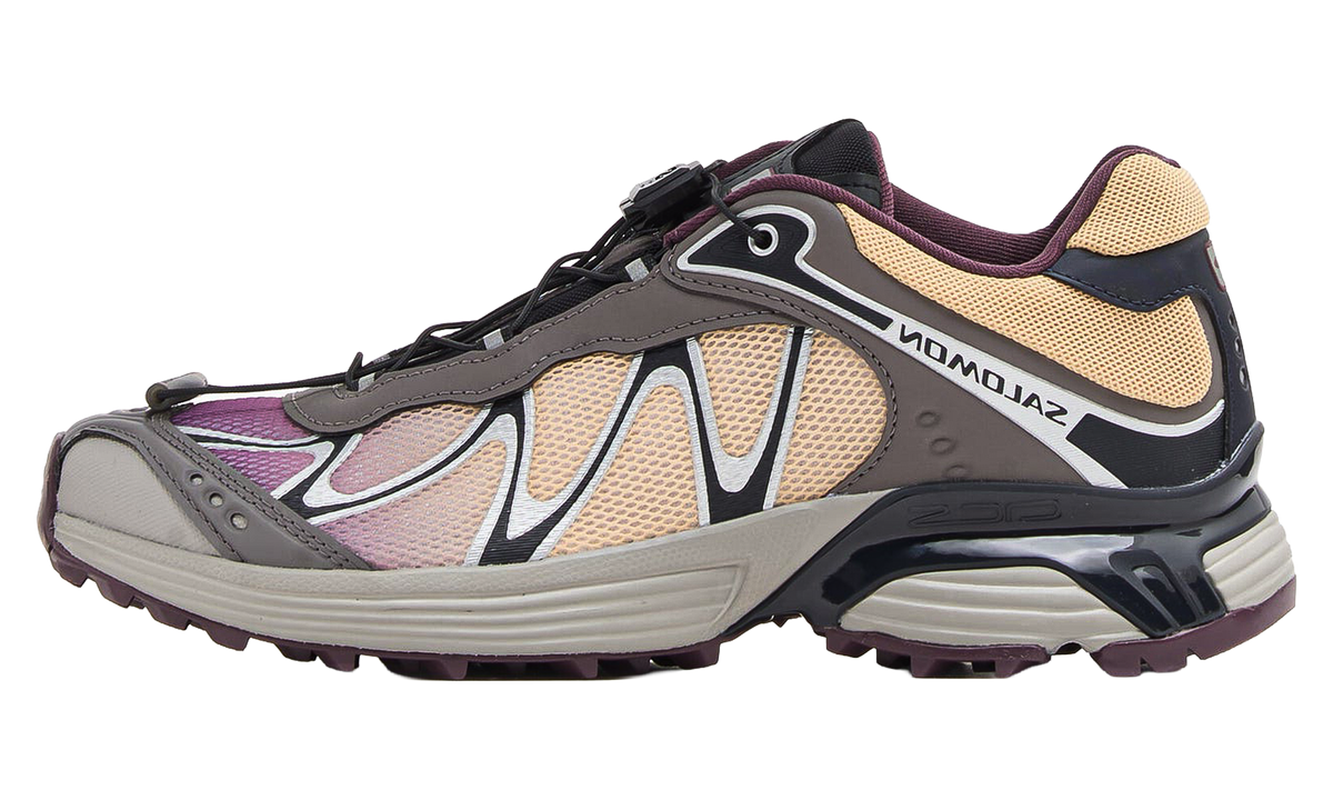 XT-Whisper "Dark Gull Gray / Sahara Sun / Huckleberry" L49238000