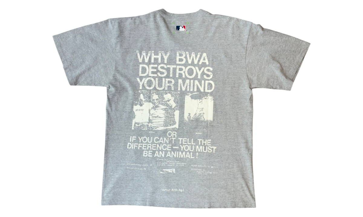 Scared T-Shirt "Light Grey" BWA287